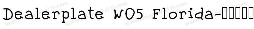 Dealerplate W05 Florida字体转换